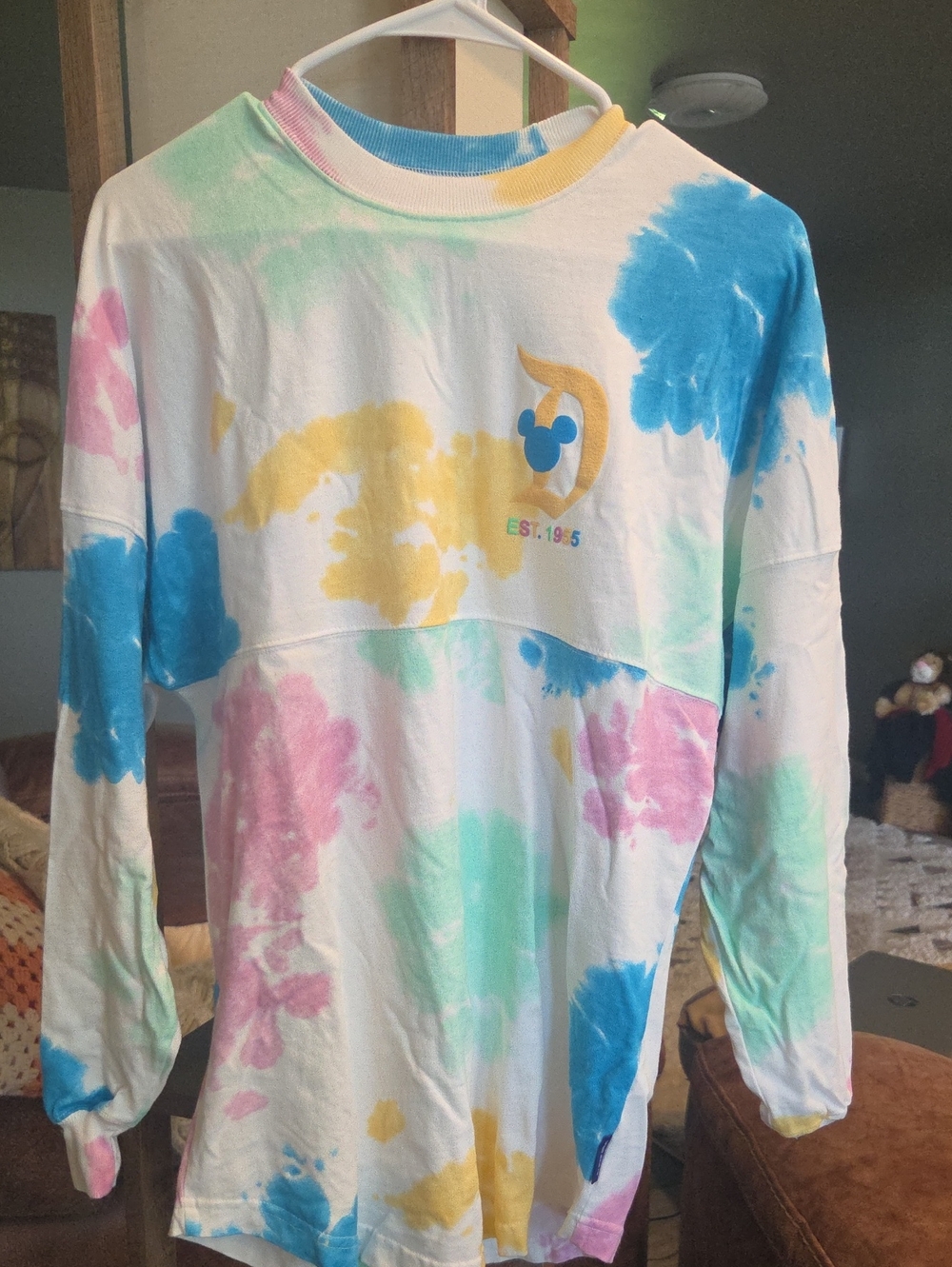 Disneyland Resort Long Sleeve Oversized Tee